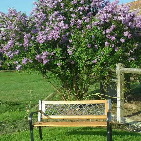 Ma Kabane * Couvains (Orne)