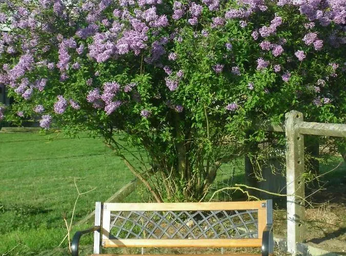 Ma Kabane * Couvains